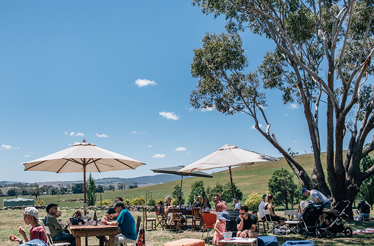 A charming country winery set on a sprawling paddock.